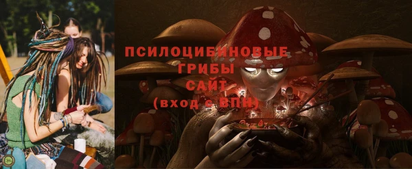 мдма Осинники